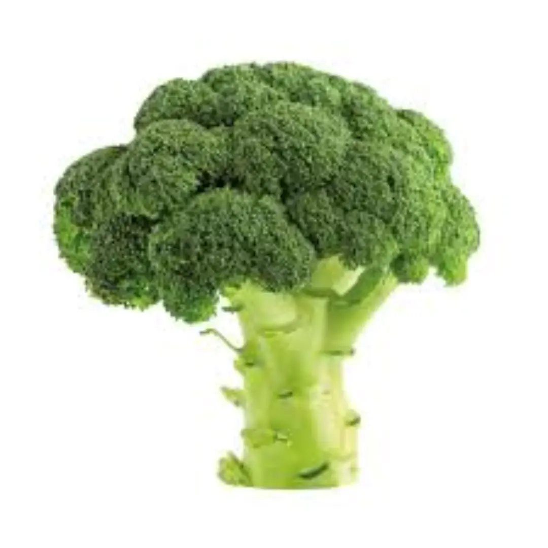 Broccoli