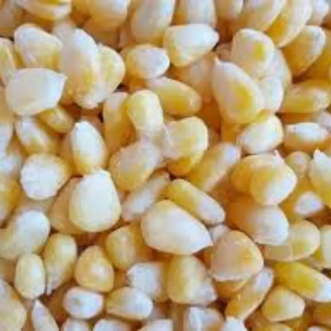 Sweet corn kernels