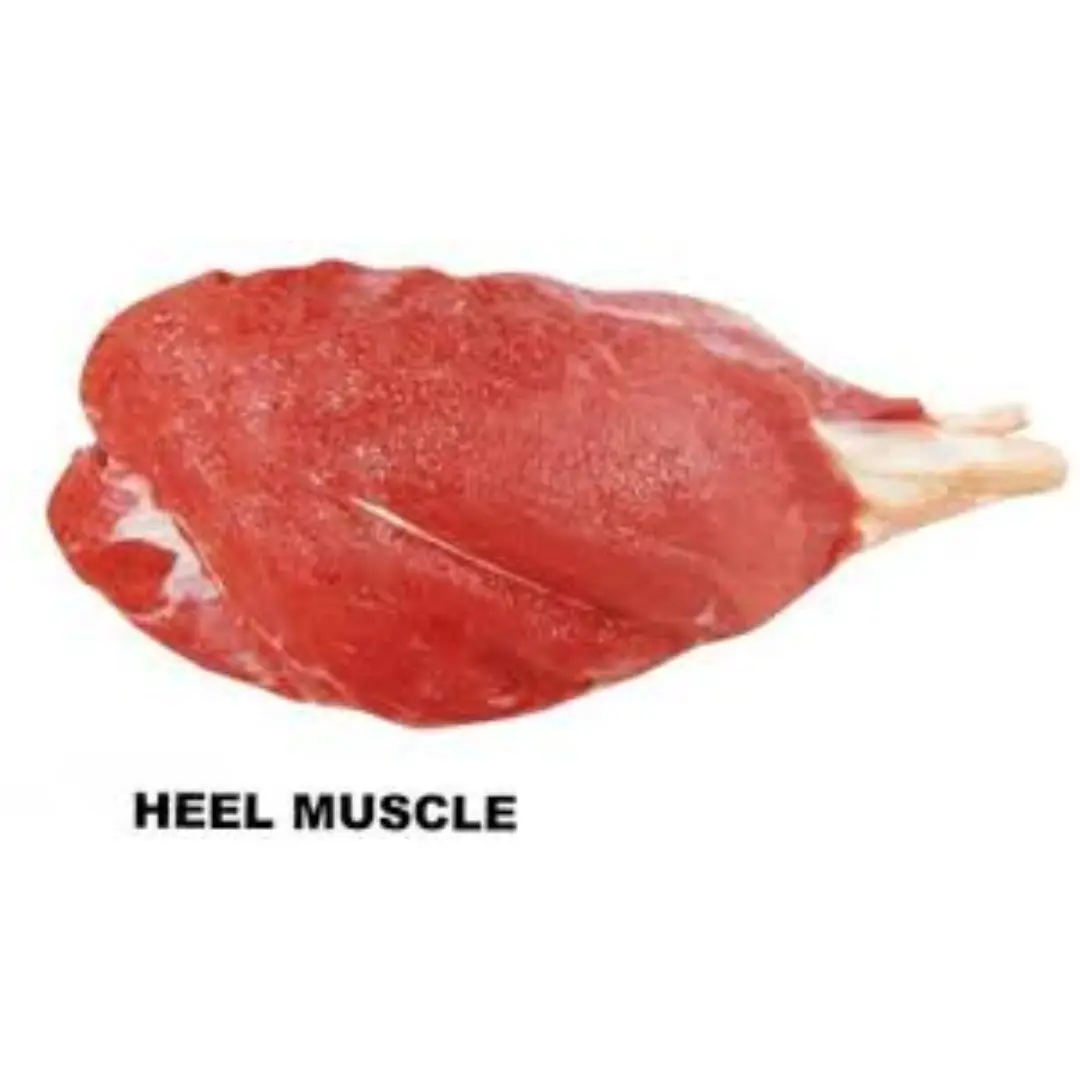 Heel muscle