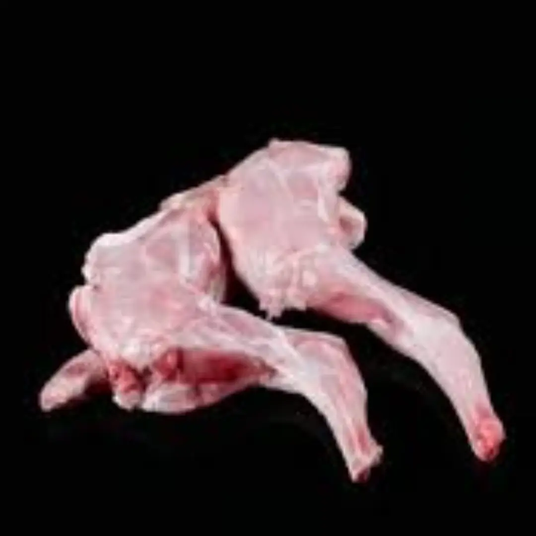 Rabbit Forelegs